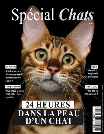 Spécial Chats - Avril-Juin 2025